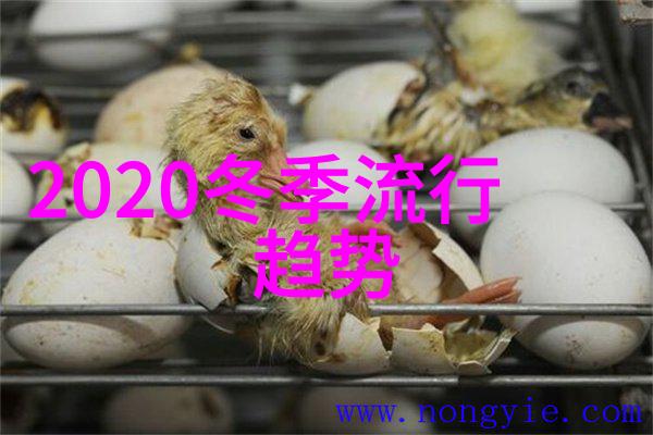 2021年秋季女装流行款式层次感与舒适性并重的时尚趋势