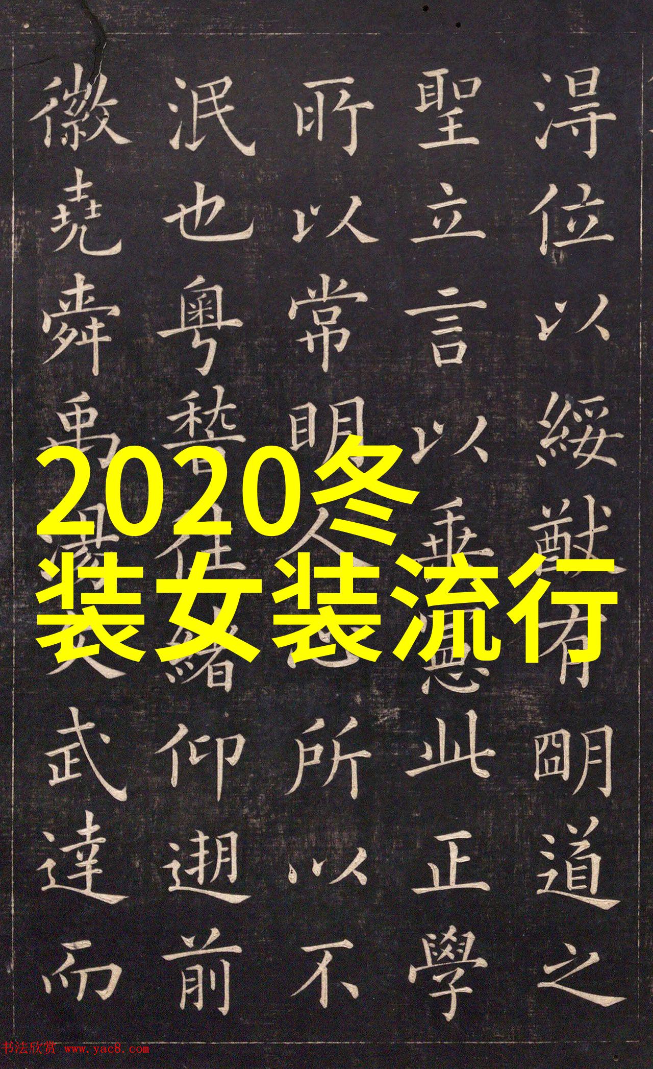 沉默的华章黛妃全文TXT中的历史与梦想