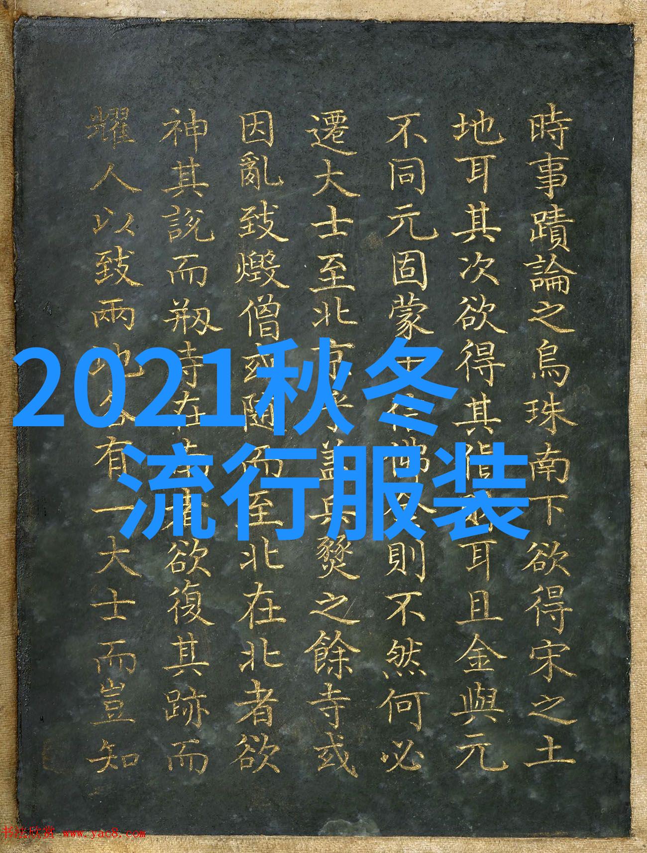 秋冬新色调2024-2025年时尚界的温暖抒情