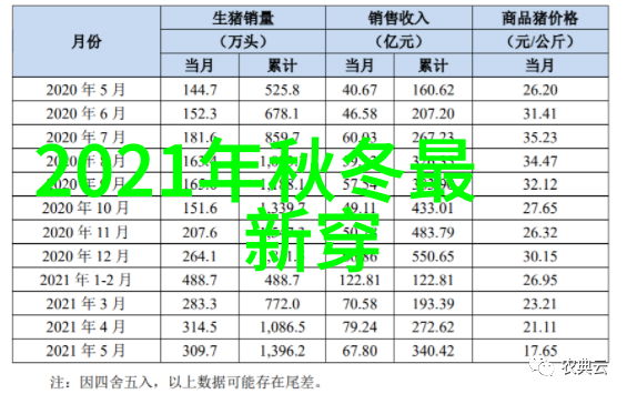 围城txt-守候在围城外探索文本背后的情感世界