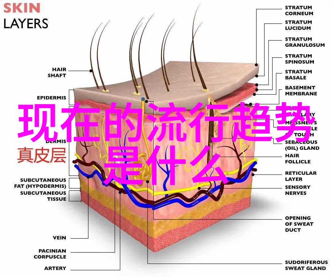 2023年春夏时尚趋势活力色彩主宰新一季穿搭