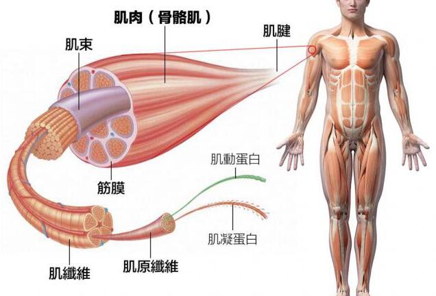 夏日轻松男士时尚穿搭技巧与2021秋冬卫衣流行色彩的自然融合