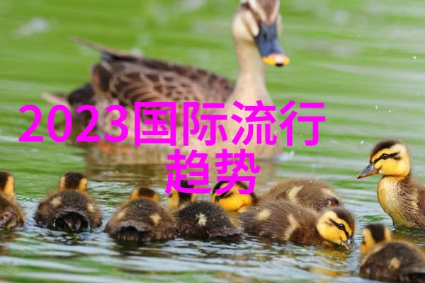 2023秋冬穿越时尚迷雾揭秘新季节的衣物谜题