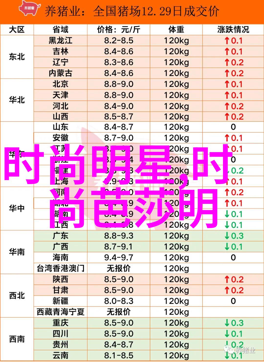 bgmbgmbgm毛多老太免费探秘村庄中的温暖慈善