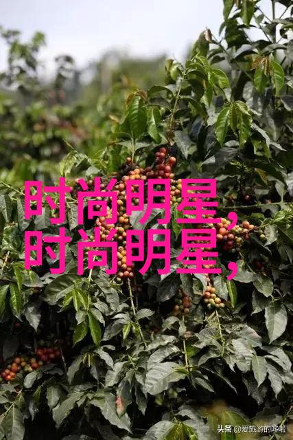 2023考研大纲解析掌握考试内容与要求助力高分拿证