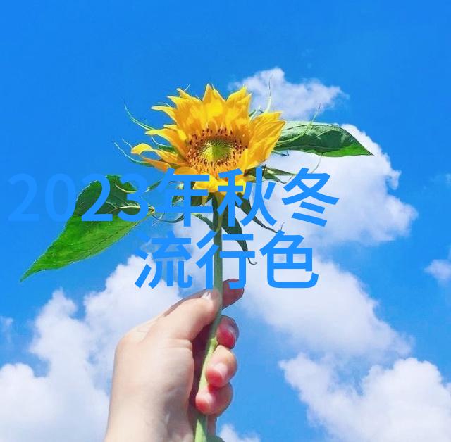 月下幽梦嫣然一笑的银河守望者