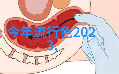 2023-2024流行色大盘点探索明年装饰与时尚的主旋律