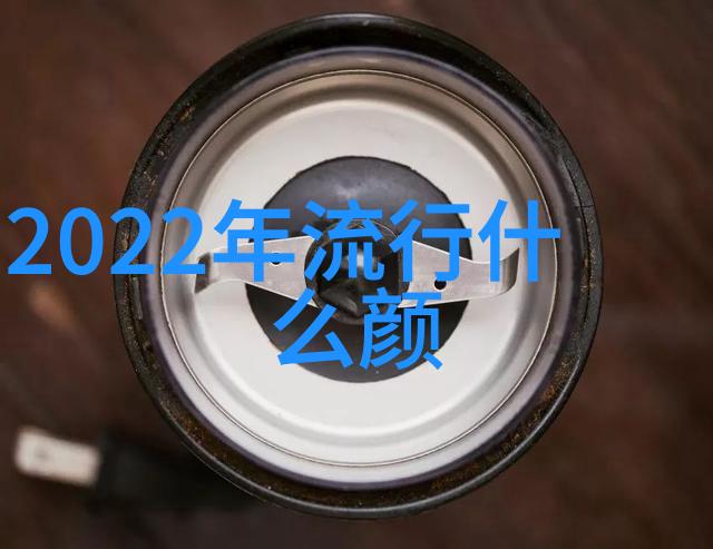 冬日时尚必备2021年最潮流的手袋是何种类型