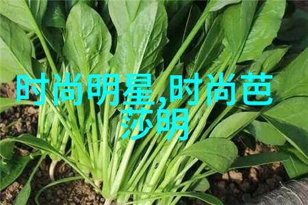 九公社的丰收季节