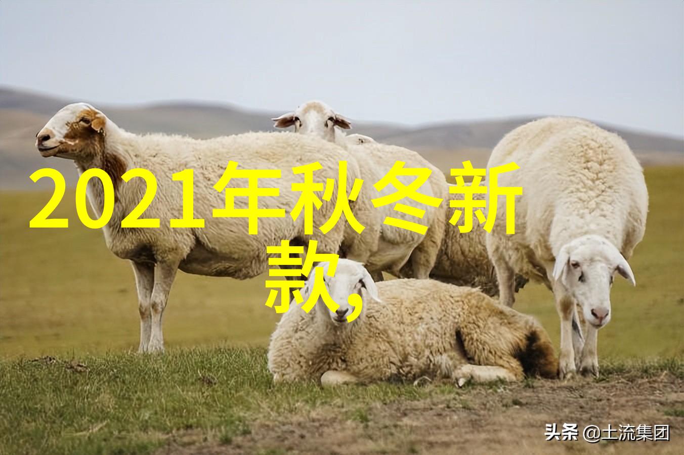 2021年最火锁骨发潮流盘点与时尚技巧解析